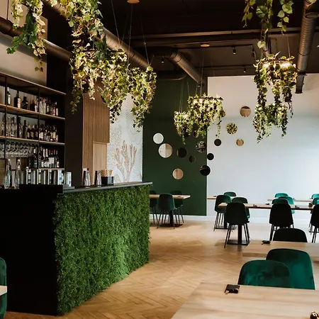 Przystan Przy Lesie * Lewiczyn (Mlawa)