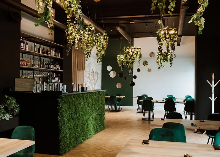 Przystan Przy Lesie * Lewiczyn (Mlawa)