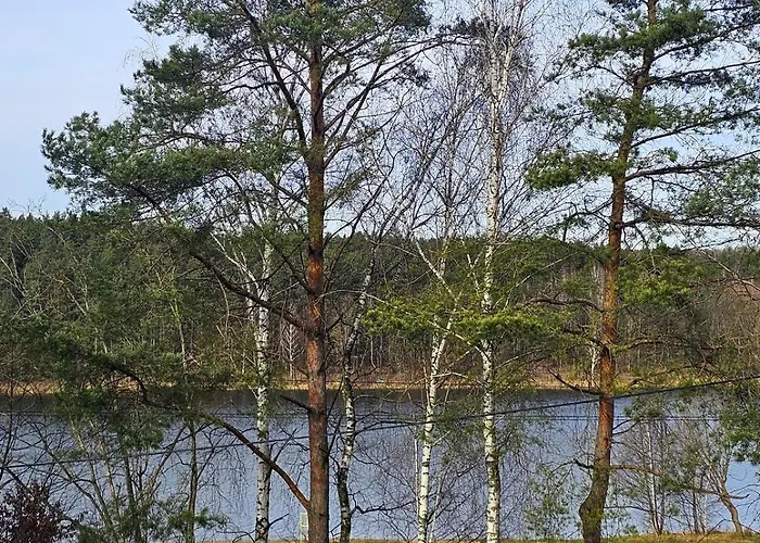 Отель Przystan Przy Lesie Lewiczyn (Mlawa)